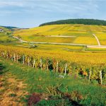 vins de Bourgogne