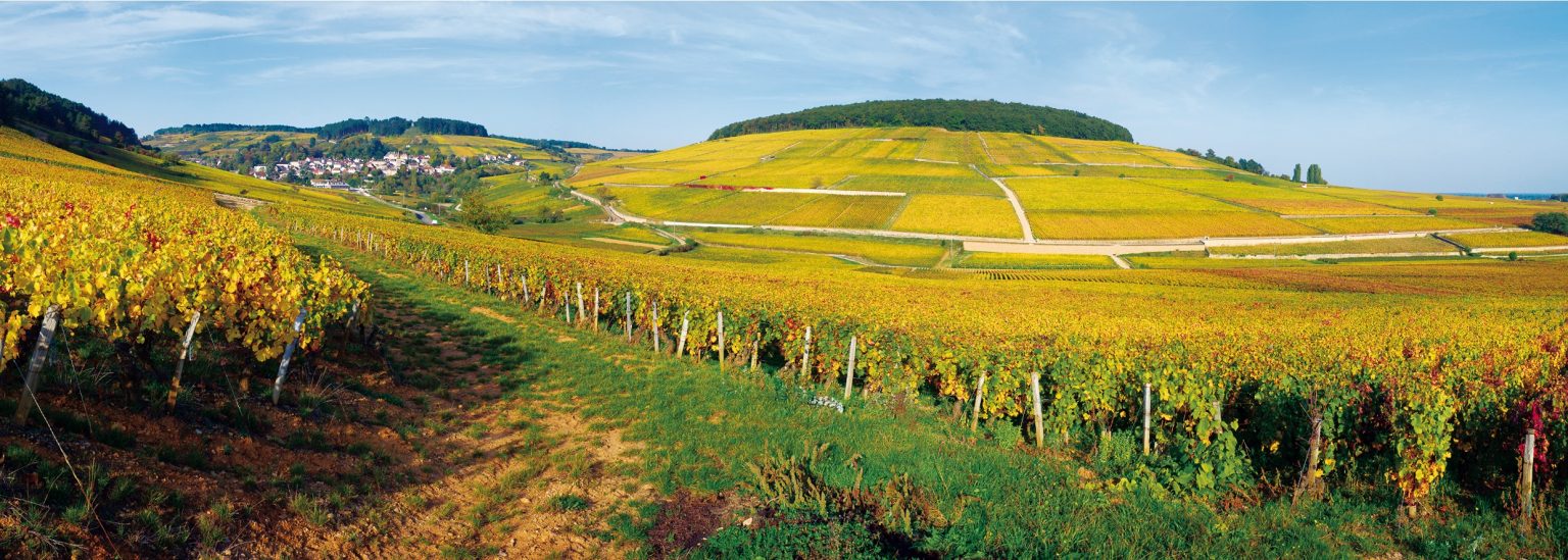 vins de Bourgogne